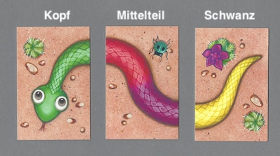 die Karten beim Regenbogenschlange-Spiel: Schlangenkopf, -mittelteil und -schwanz
