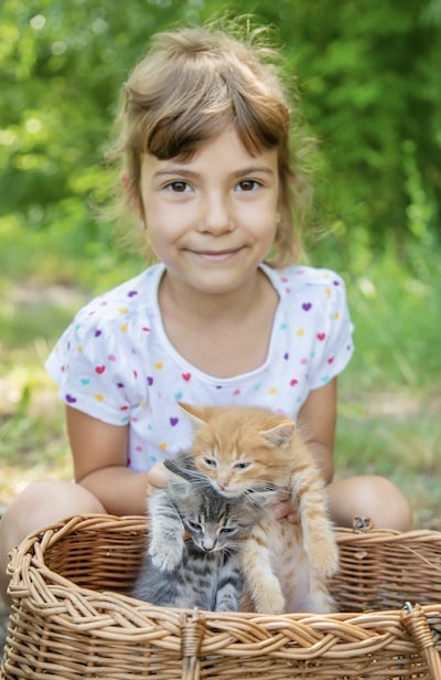 Katze als Haustier für Kinder