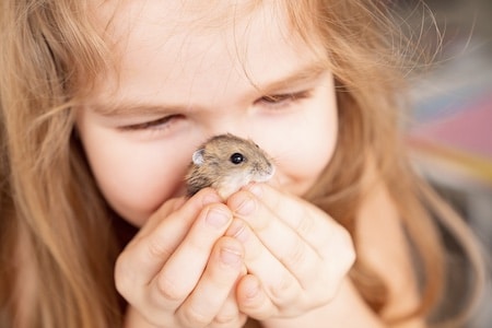 Kind kuschelt mit einem Hamster