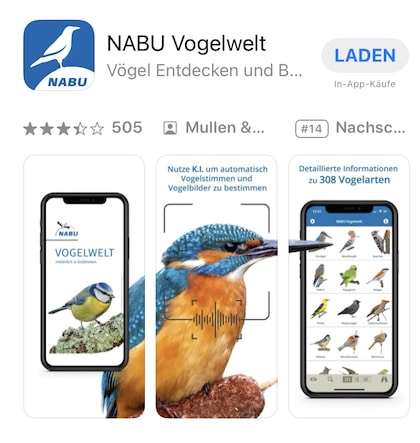 Vogelstimmen per App erkennen