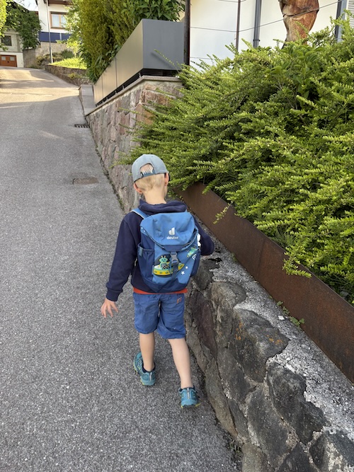 Eidechsen verschwinden in der Steinmauer am Wegrand