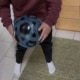 Das richtige Geschenk für den fussballbegeisterten Enkel gefunden