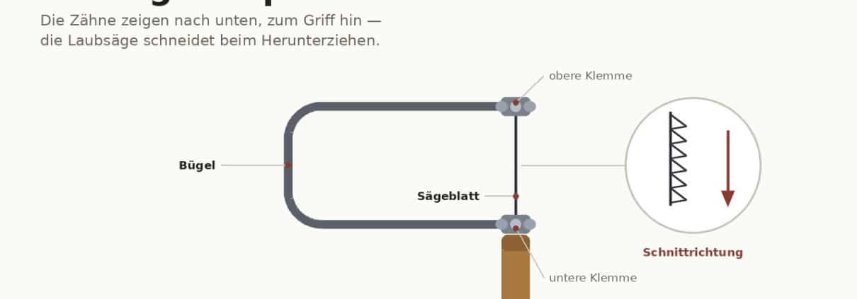 Schema einer Laubsäge mit beschriftetem Bügel, Klemmen, Sägeblatt und Griff sowie der Zahnrichtung