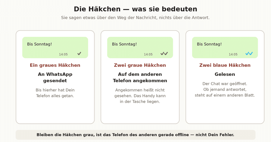Drei Nachrichtenblasen nebeneinander mit einem grauen, zwei grauen und zwei blauen Häkchen, jeweils mit Erklärung