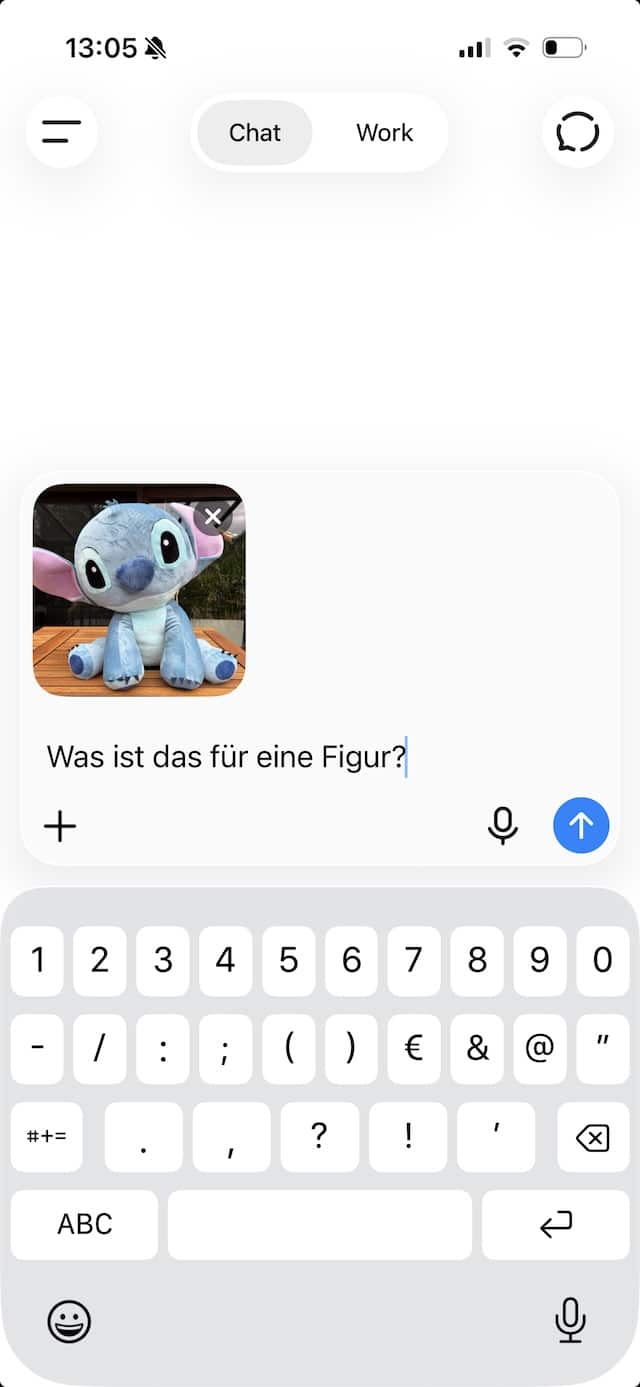 Das Foto als Vorschau im Eingabefeld, darunter die eingetippte Frage