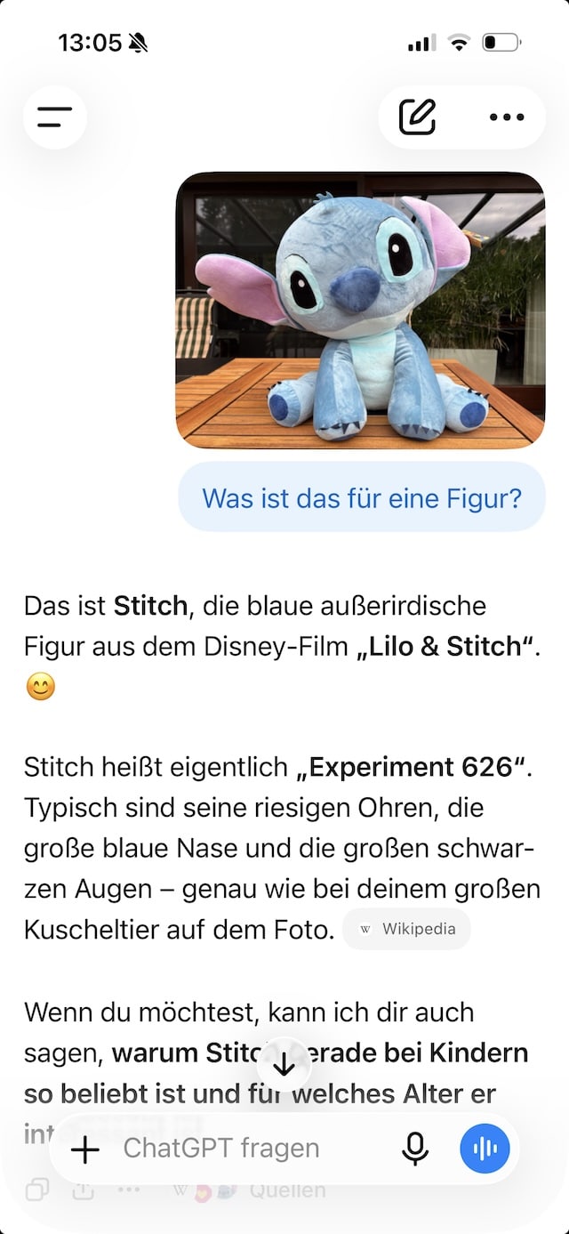 Die Antwort von ChatGPT zu dem hochgeladenen Foto